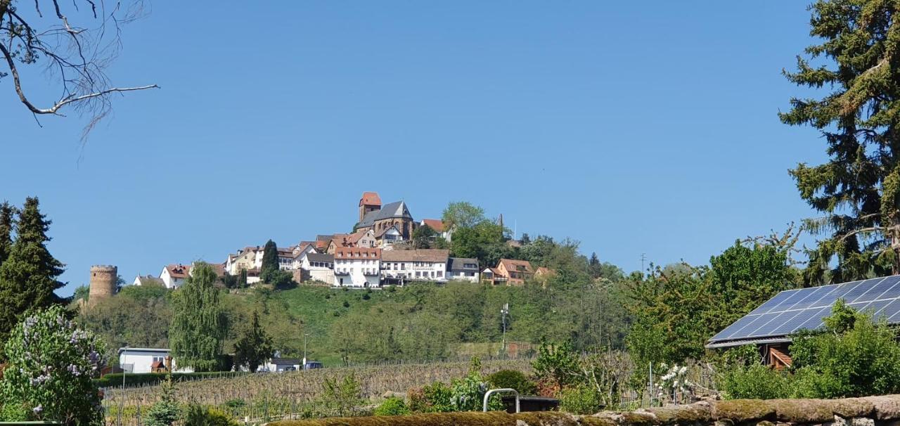 Landgasthaus "Zum Engel" Neuleiningen Buitenkant foto